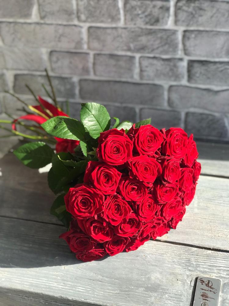 Букет Красные розы Фридом в Пирогово