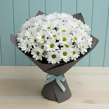 Букет цветов из:  Хризантемы #REPLACE_PRED# Пирогово