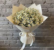 Букет цветов из:  Ромашки в Пирогово