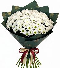 Букет цветов из:  Хризантемы в Пирогово