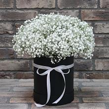 Цветочная композиция из Гипсофила в шляпной коробке в Пирогово