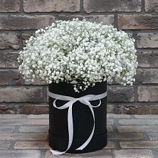 Цветочная композиция из Гипсофила в шляпной коробке в Пирогово