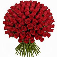 Букет Красные розы Чери Лав в Пирогово